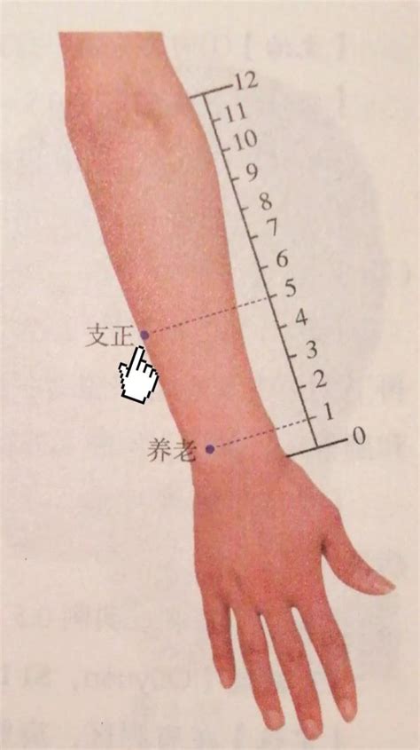 支正穴正確位置